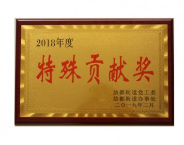 2018年度特殊貢獻(xiàn)獎(jiǎng)